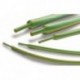 Diamètre 4.8/2.4 mm vert-jaune lot de 10 manchons de 1 M